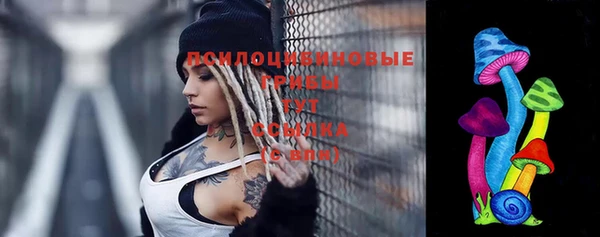 мдпв Белокуриха